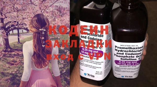 шишки Нея
