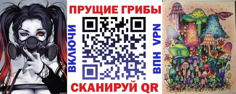 blacksprut зеркало  Новомичуринск  Псилоцибиновые грибы Cubensis 